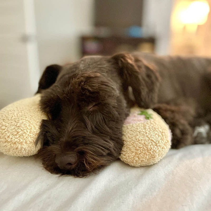 Komfortabel pude til hunde - CalmNest