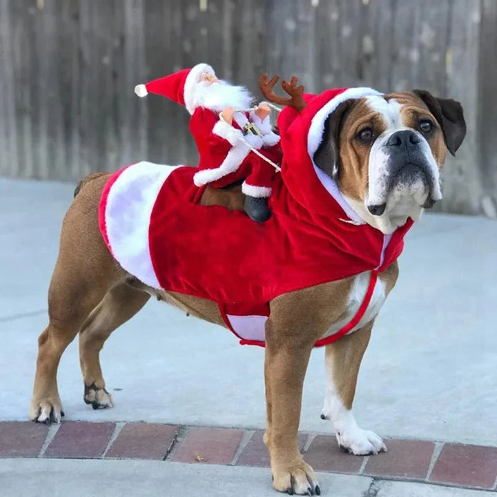 Julekostume til hunde - SantaPaws