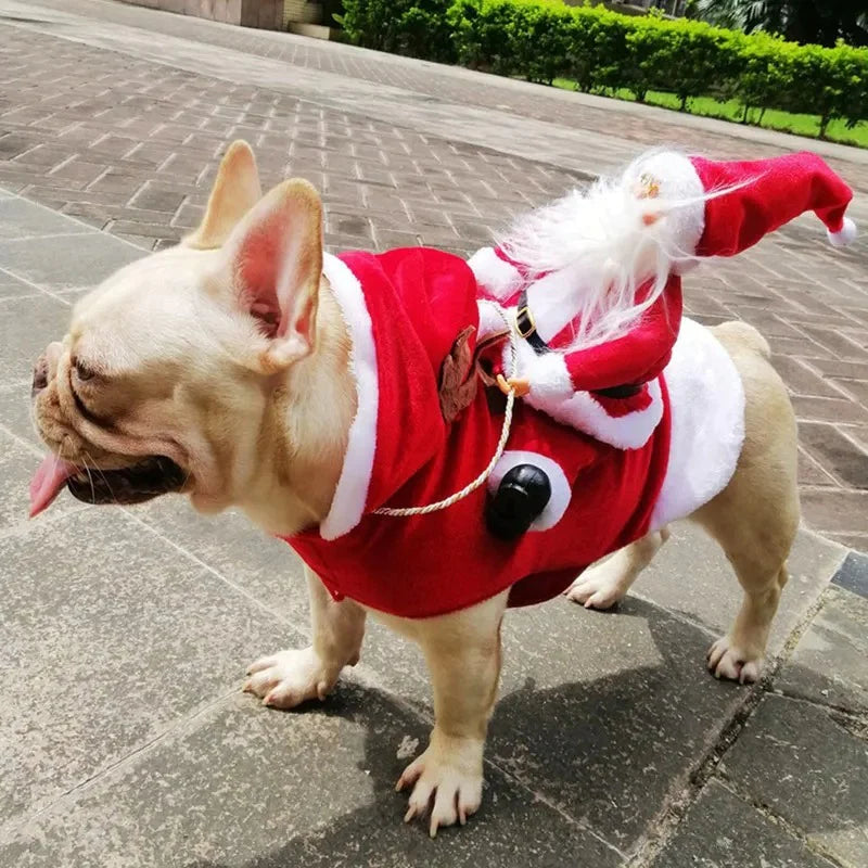 Julekostume til hunde - SantaPaws