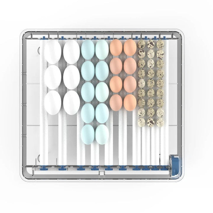 Automatisk inkubator – HatchEase