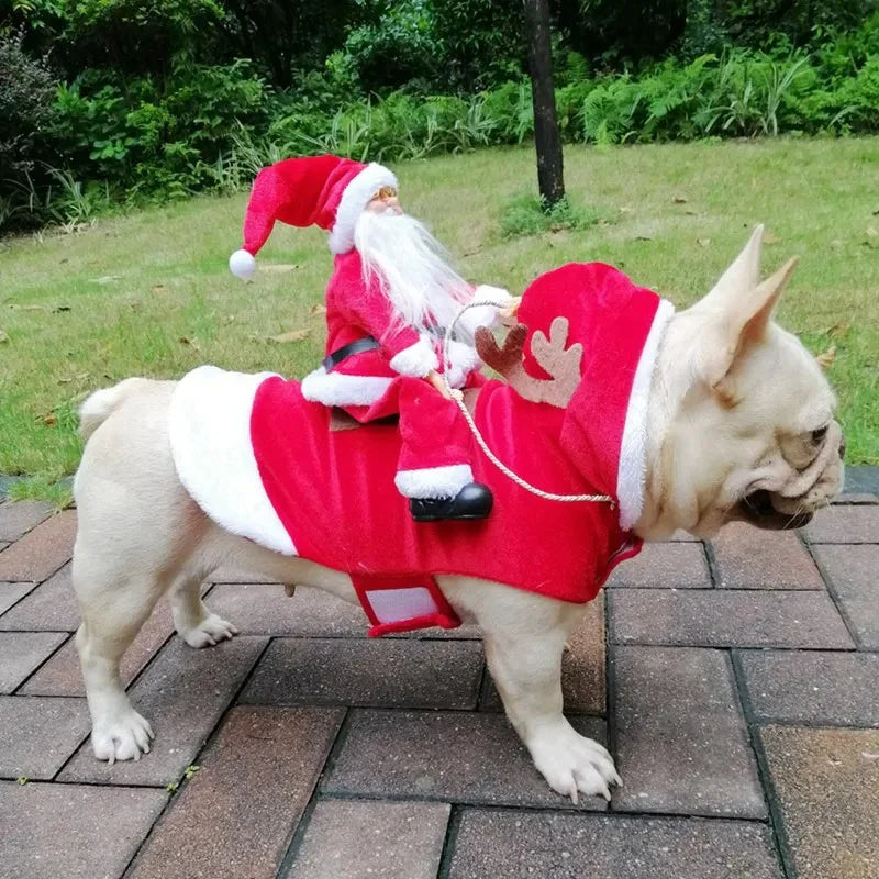 Julekostume til hunde - SantaPaws