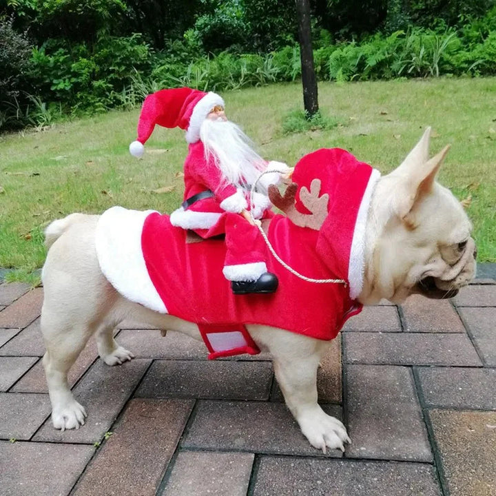 Julekostume til hunde - SantaPaws