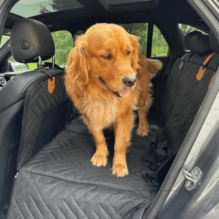 Golden retriever står på det sorte quiltede bagsædebetræk, fastgjort til nakkestøtterne med orange tapper. 5