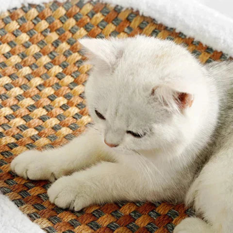 Kradsere til katte - PurrLuxe