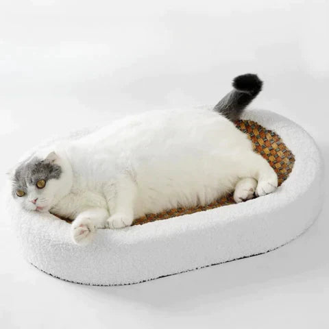 Kradsere til katte - PurrLuxe
