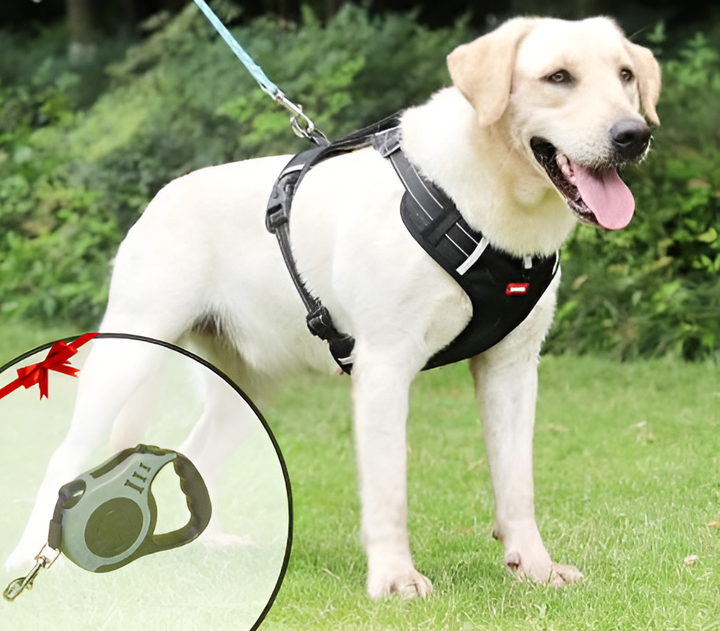 Anti-Træk Hundesele - FlexiFit