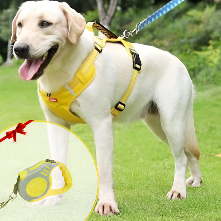 Anti-Træk Hundesele - FlexiFit