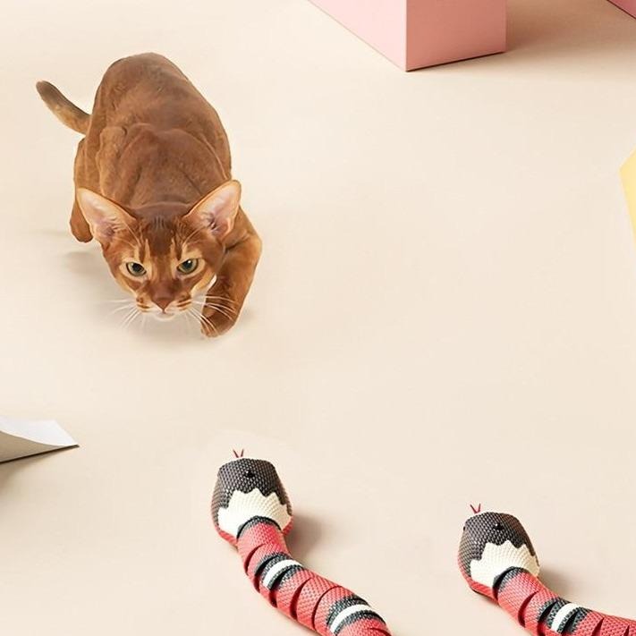 Jagtlegetøj til katte - SlitherPlay