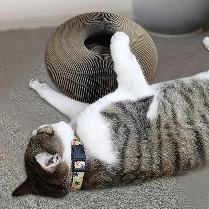 Aktiv legeglæde til din kat - PurrFit
