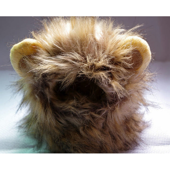 Løvemanker til din kat - LionPaws