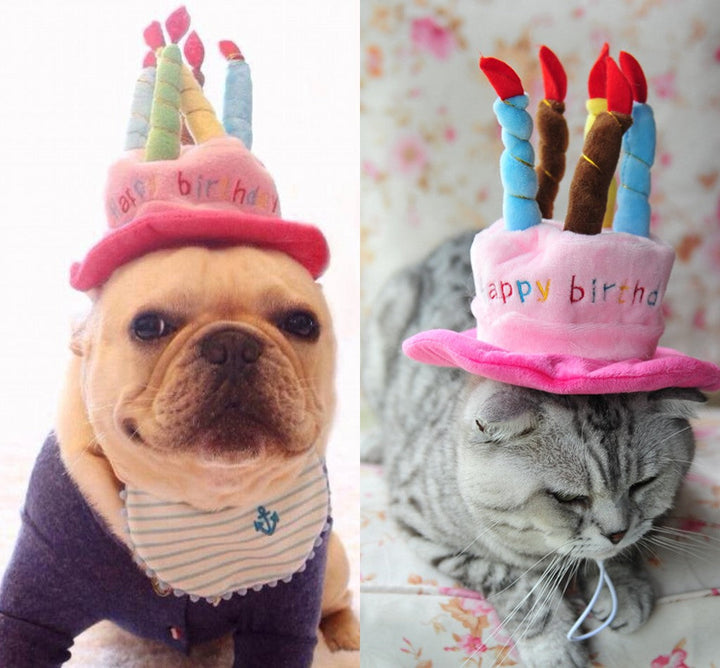 Fødselsdagshat til hunde og katte - PartyPaws