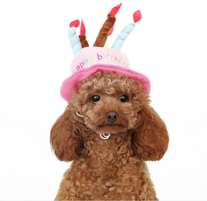 Fødselsdagshat til hunde og katte - PartyPaws