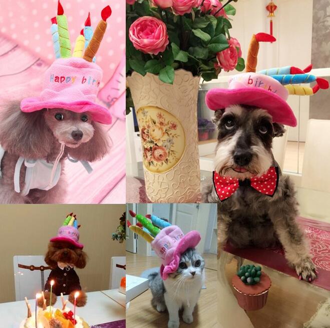 Fødselsdagshat til hunde og katte - PartyPaws