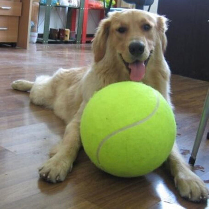 XXL tennisbold til hunde (24 cm) - GiantFetch