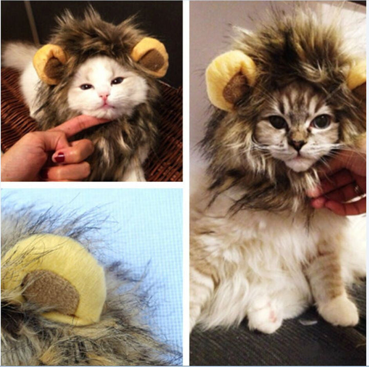 Løvemanker til din kat - LionPaws