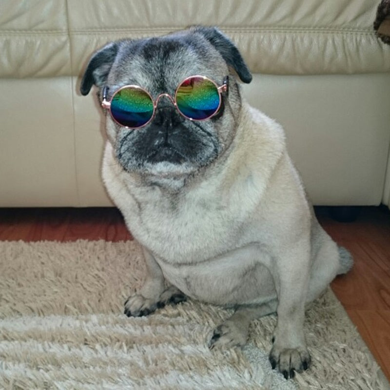 Trendy katte-solbriller - KittyShades