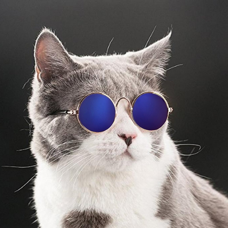 Trendy katte-solbriller - KittyShades