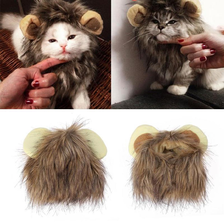 Løvemanker til din kat - LionPaws