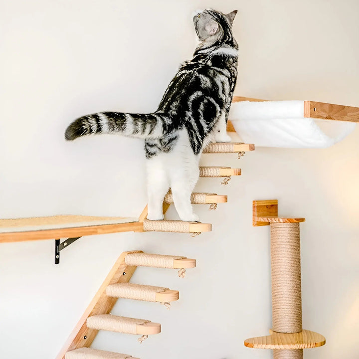 Vægmonteret klatreplanke til katte med kradsetræ - ClimbPaws