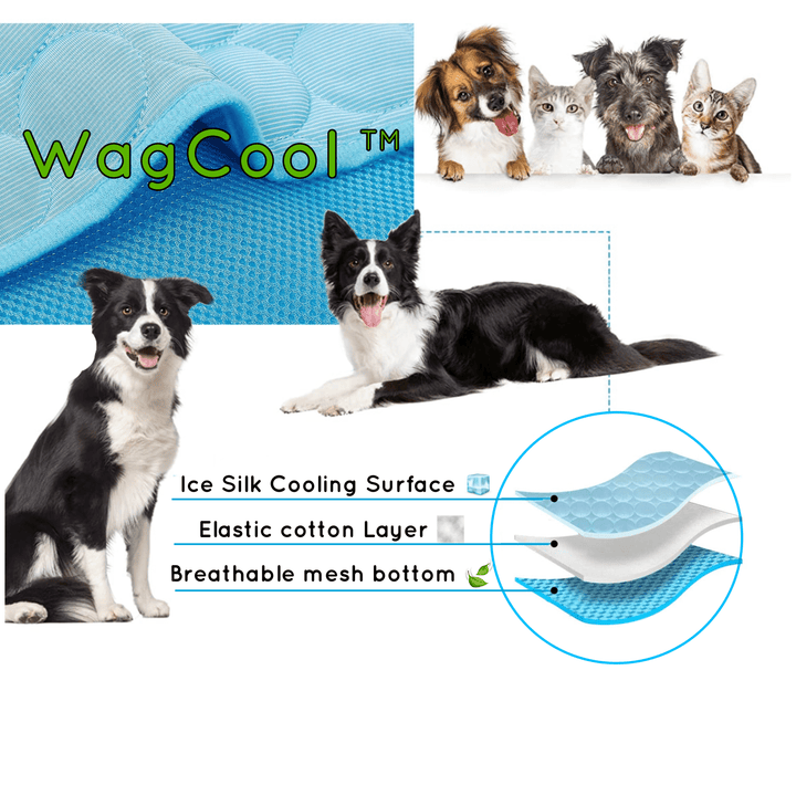 Afkølende hundemåtte - CoolPet Mat
