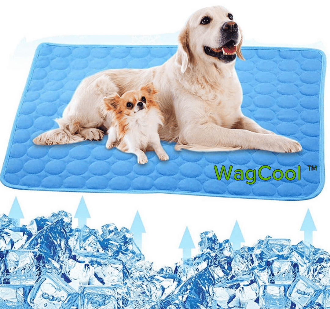 Afkølende hundemåtte - CoolPet Mat