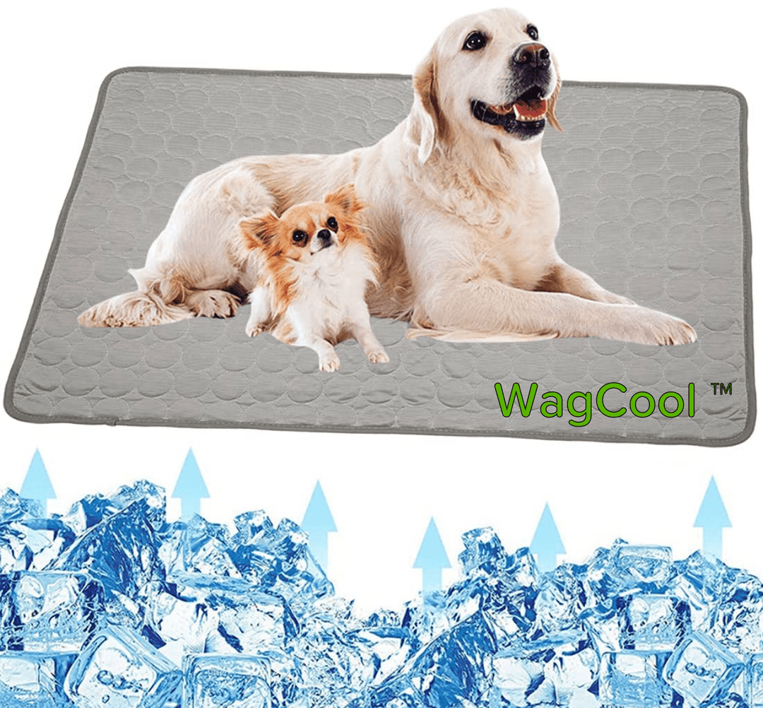 Afkølende hundemåtte - CoolPet Mat
