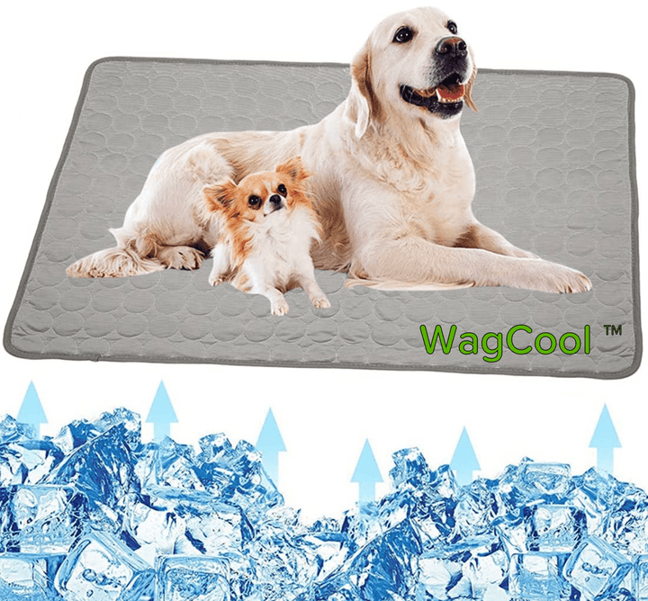Afkølende hundemåtte - CoolPet Mat