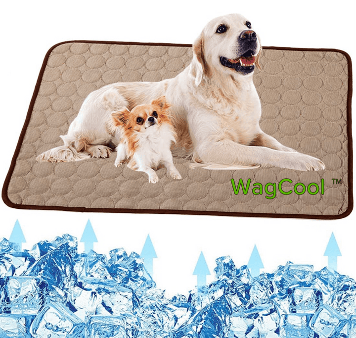Afkølende hundemåtte - CoolPet Mat