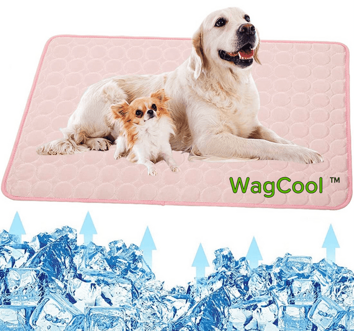 Afkølende hundemåtte - CoolPet Mat