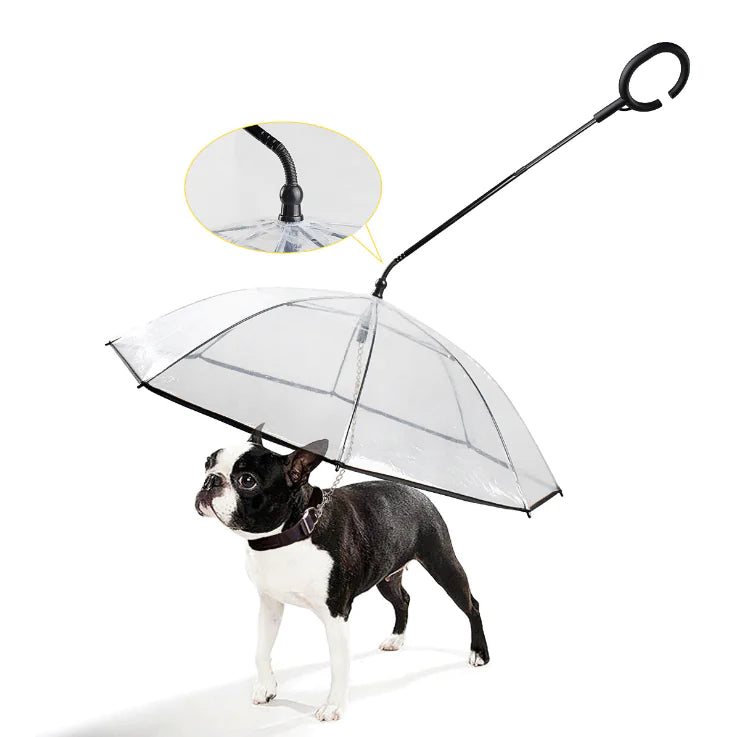 Gennemsigtig paraply til hunde - ClearShield