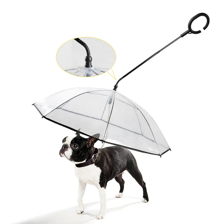 Gennemsigtig paraply til hunde - ClearShield